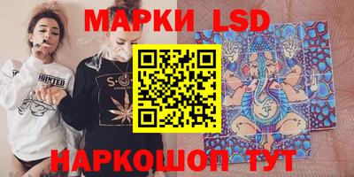 прущие грибы Брянск
