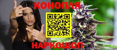 прущие грибы Брянск