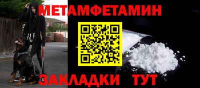 прущие грибы Брянск