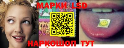 прущие грибы Брянск