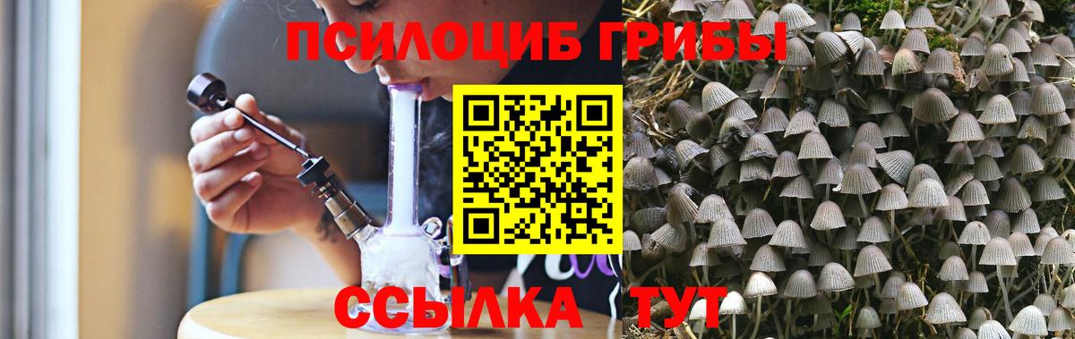 Галлюциногенные грибы Cubensis  магазин продажи наркотиков  Архангельск  Галлюциногенные грибы Magic Shrooms  Вход с VPN 